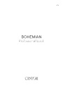 Bohemian professional book 2021