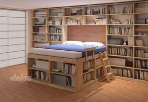 Biblioteca, Cama de ahorro de espacio con estantes