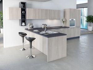 Elite EL 2.2/1, Cocina con gusto contemporneo, con pennsula