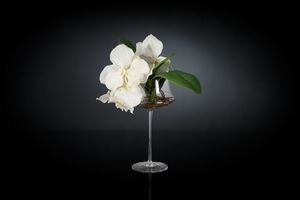 Eternity Coppa Minimes Vanda, Arreglo floral en copa de cristal