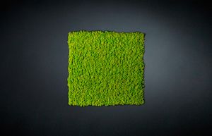 Lichene, Panel modular para muro vegetal