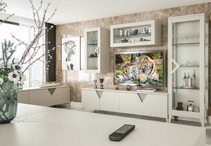 Canaletto Comp. N. 3, Muebles modernos para sala de estar