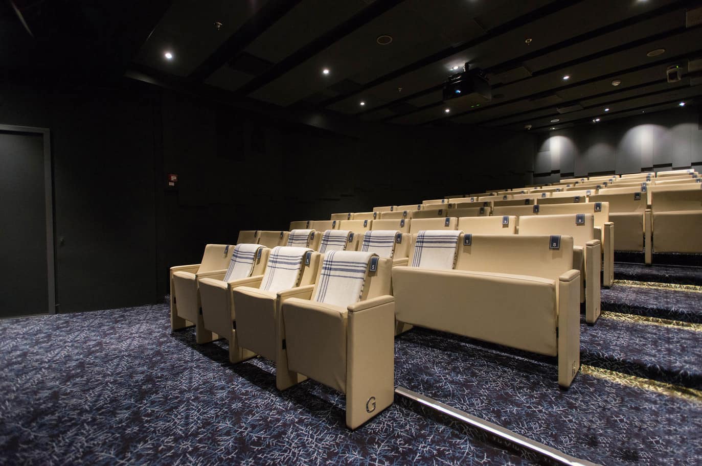 Sala de cine - Viking Star