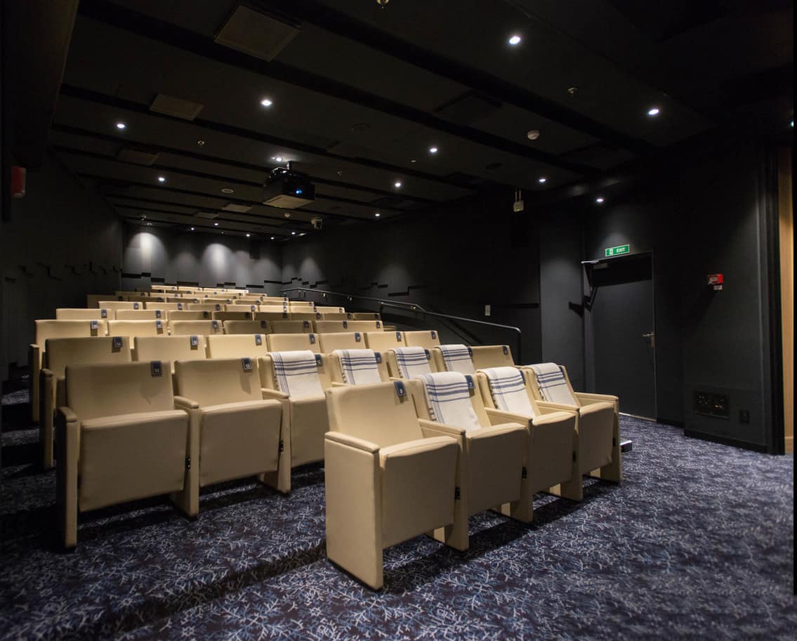 Sala de cine - Viking Star