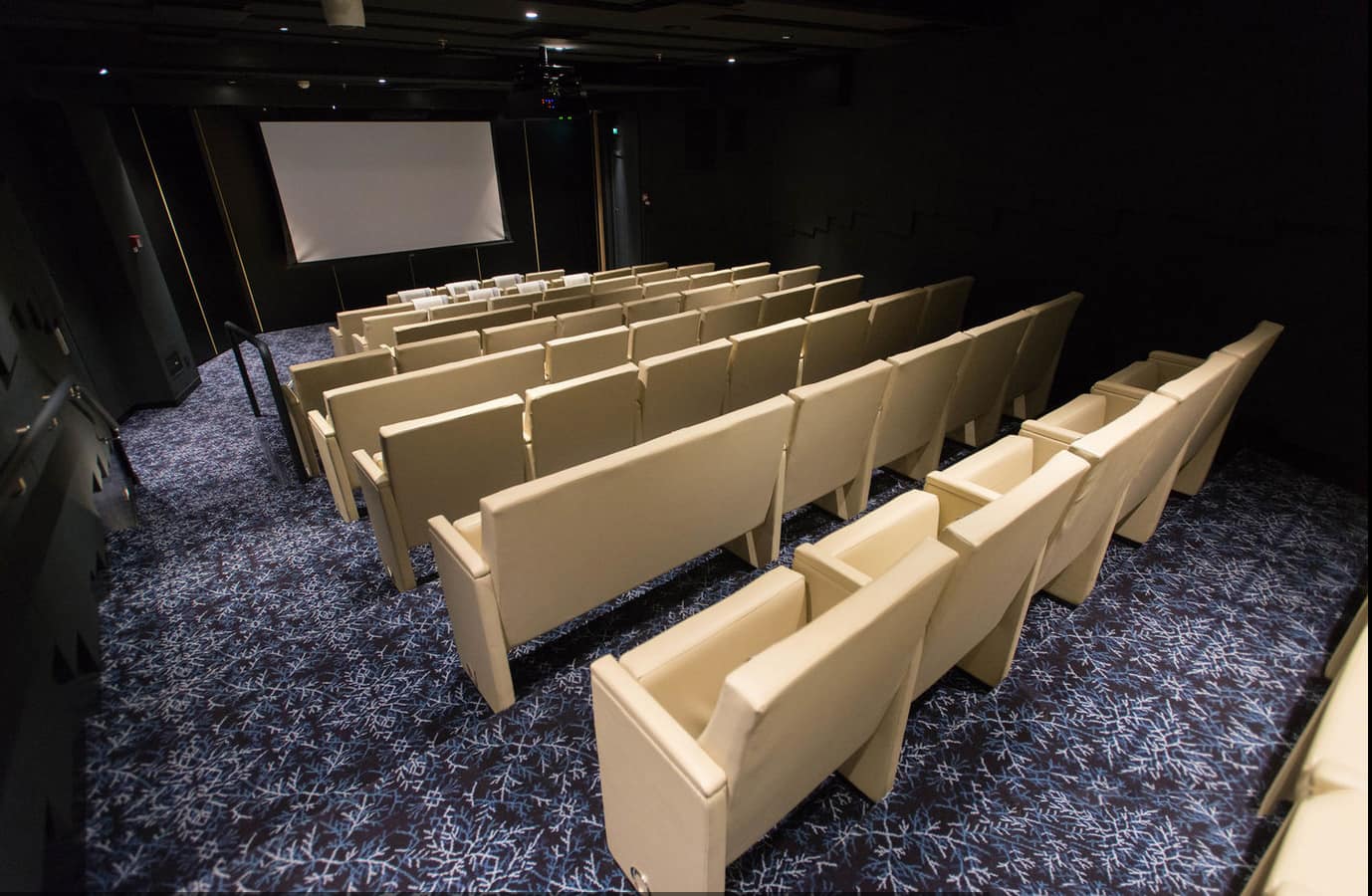 Sala de cine - Viking Star
