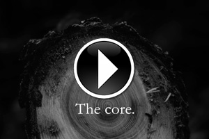 The core